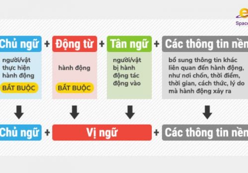 Cấu trúc của một câu trong tiếng anh 