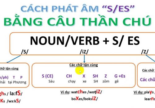 Bài tập phát âm tiếng anh: Trọng âm, phát âm ed, phát âm s/es