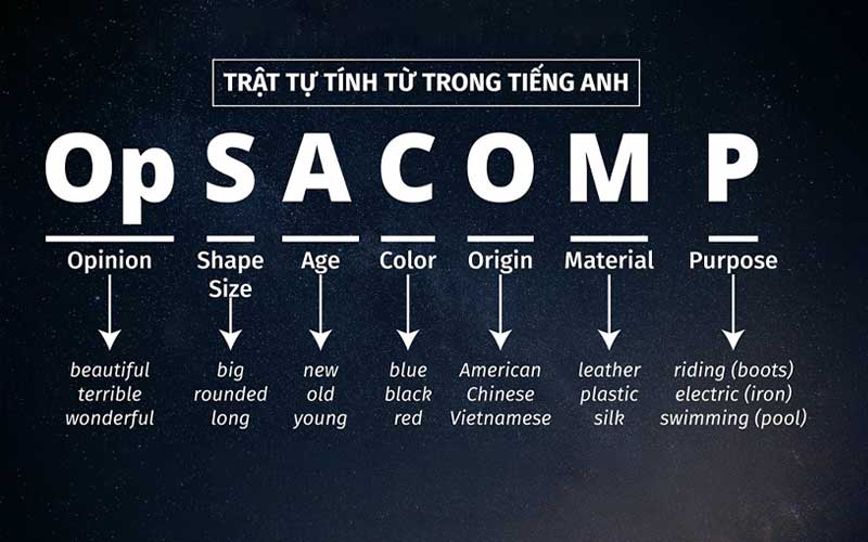 trat-tu-tu-trong-tieng-anh