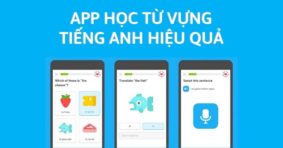 app-hoc-tieng-anh-hieu-qua