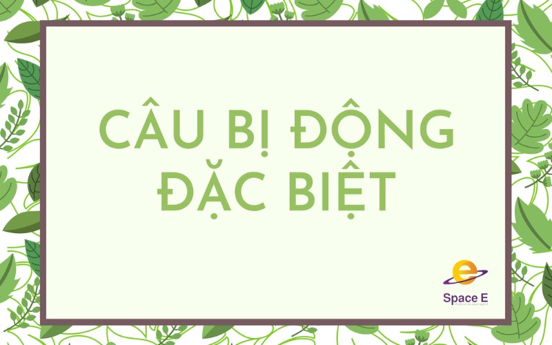 mot-so-dang-cau-truc-cau-bi-dong-dac-biet
