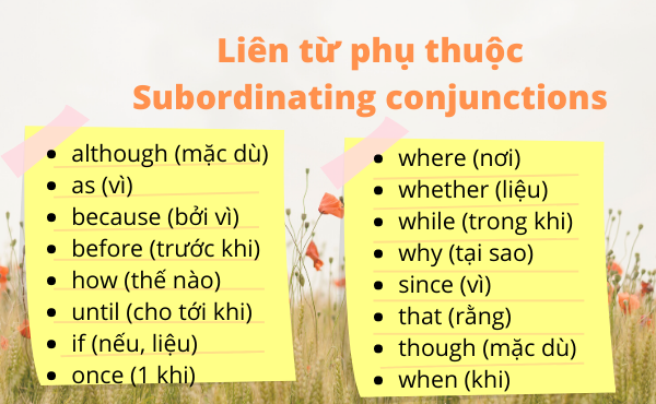 lien-tu-phu-thuoc-trong-tieng-anh