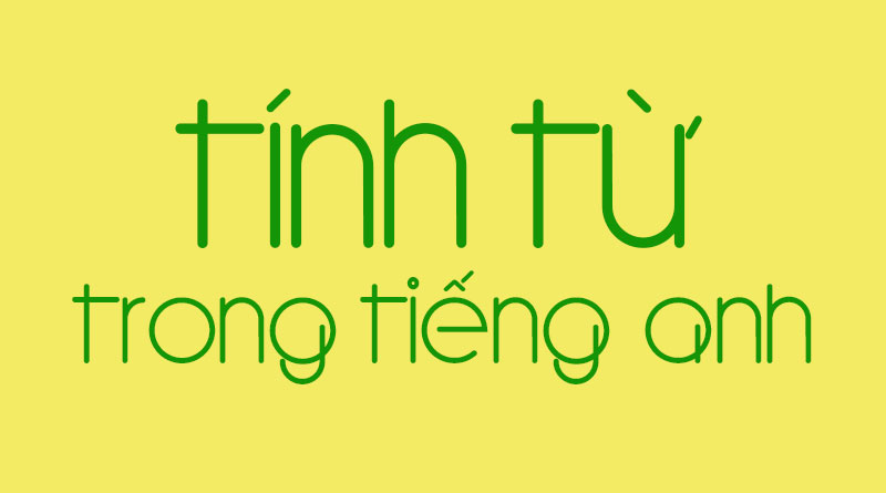 trong-tieng-anh-tinh-tu-la-gi